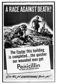 Penicillin Poster